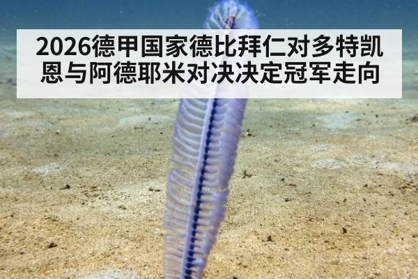 2026德甲国家德比拜仁对多特凯恩与阿德耶米对决决定冠军走向
